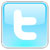Twitter Logo