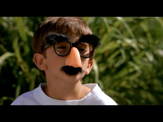 groucho marx glasses nose disguise